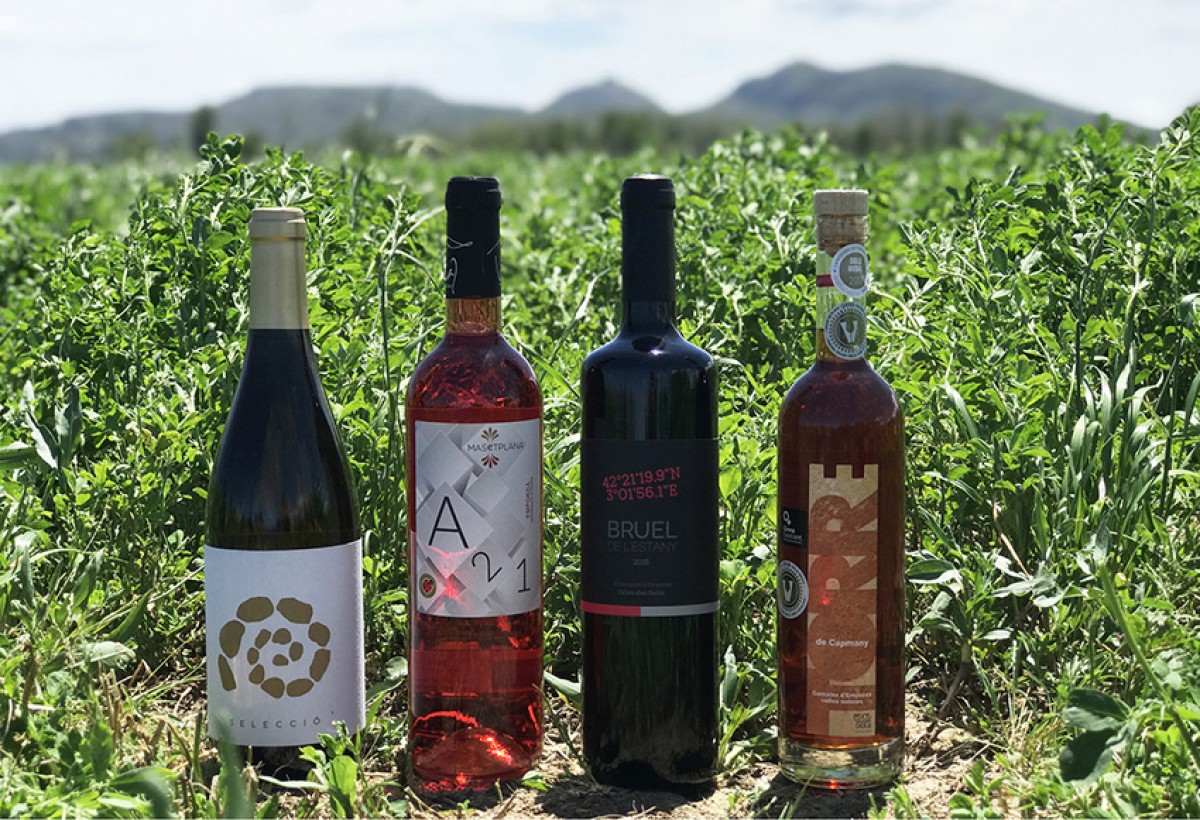 Imatge il·lustrativa