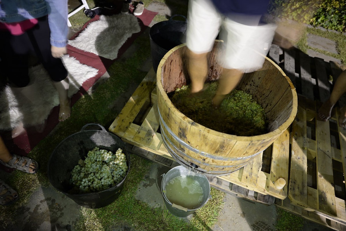 Imatge il·lustrativa