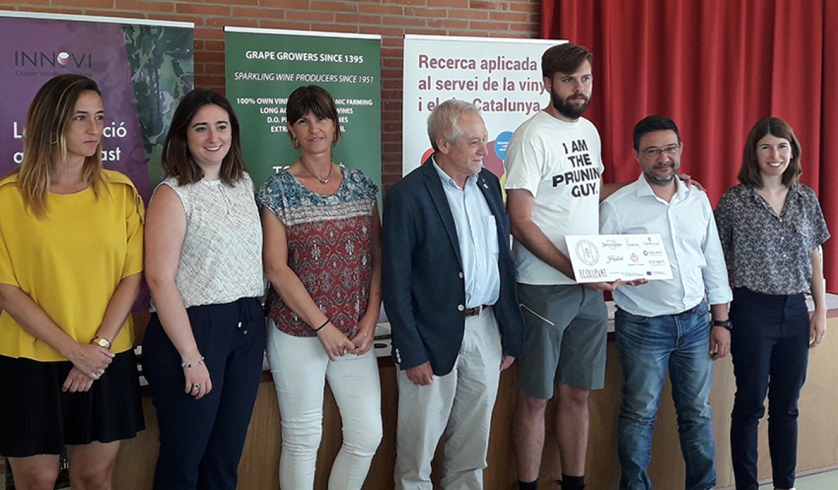 Imatge il·lustrativa