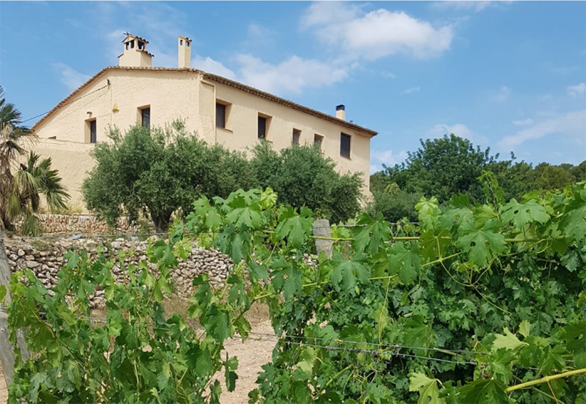 Imatge il·lustrativa