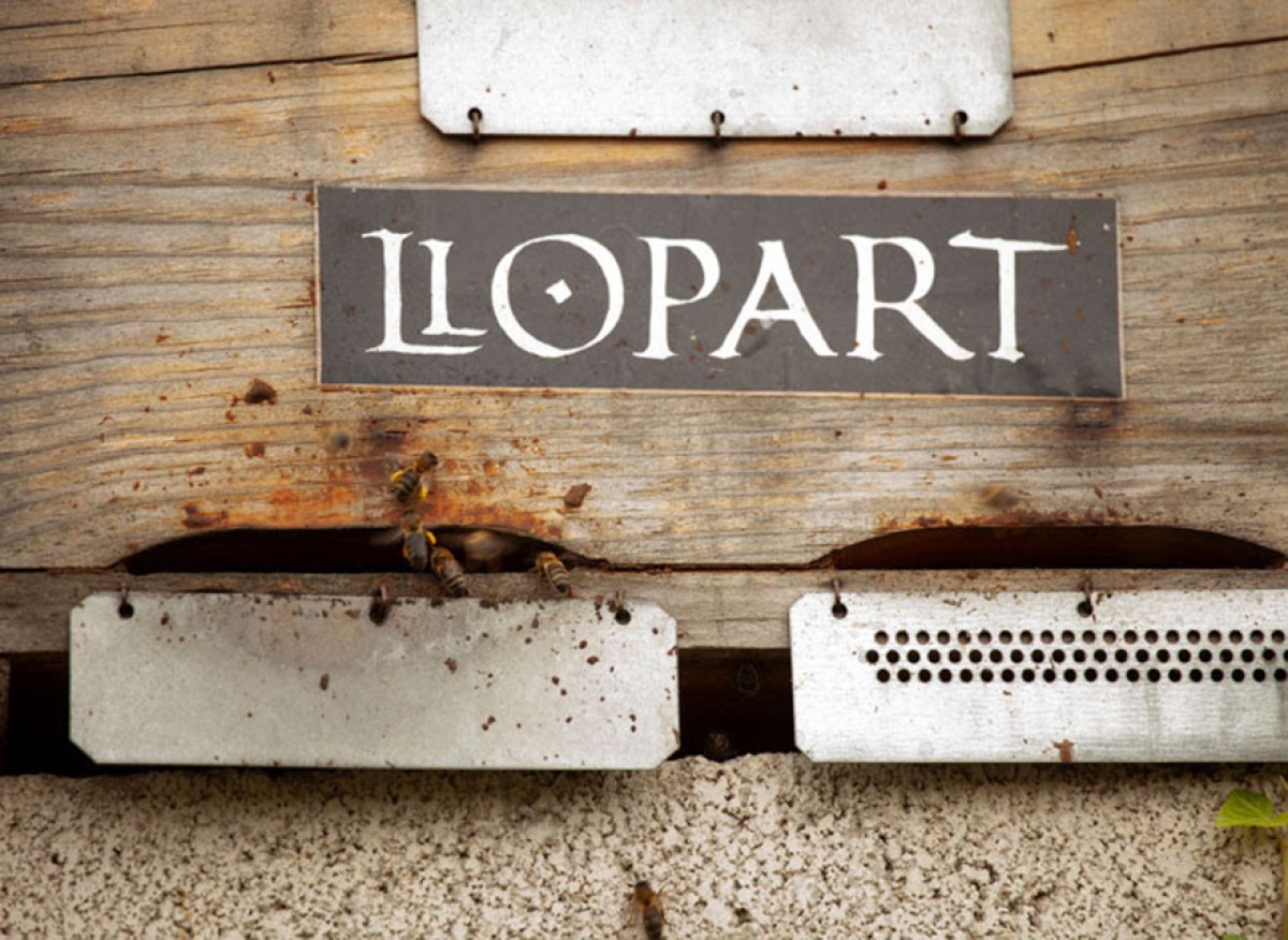 Imatge il·lustrativa