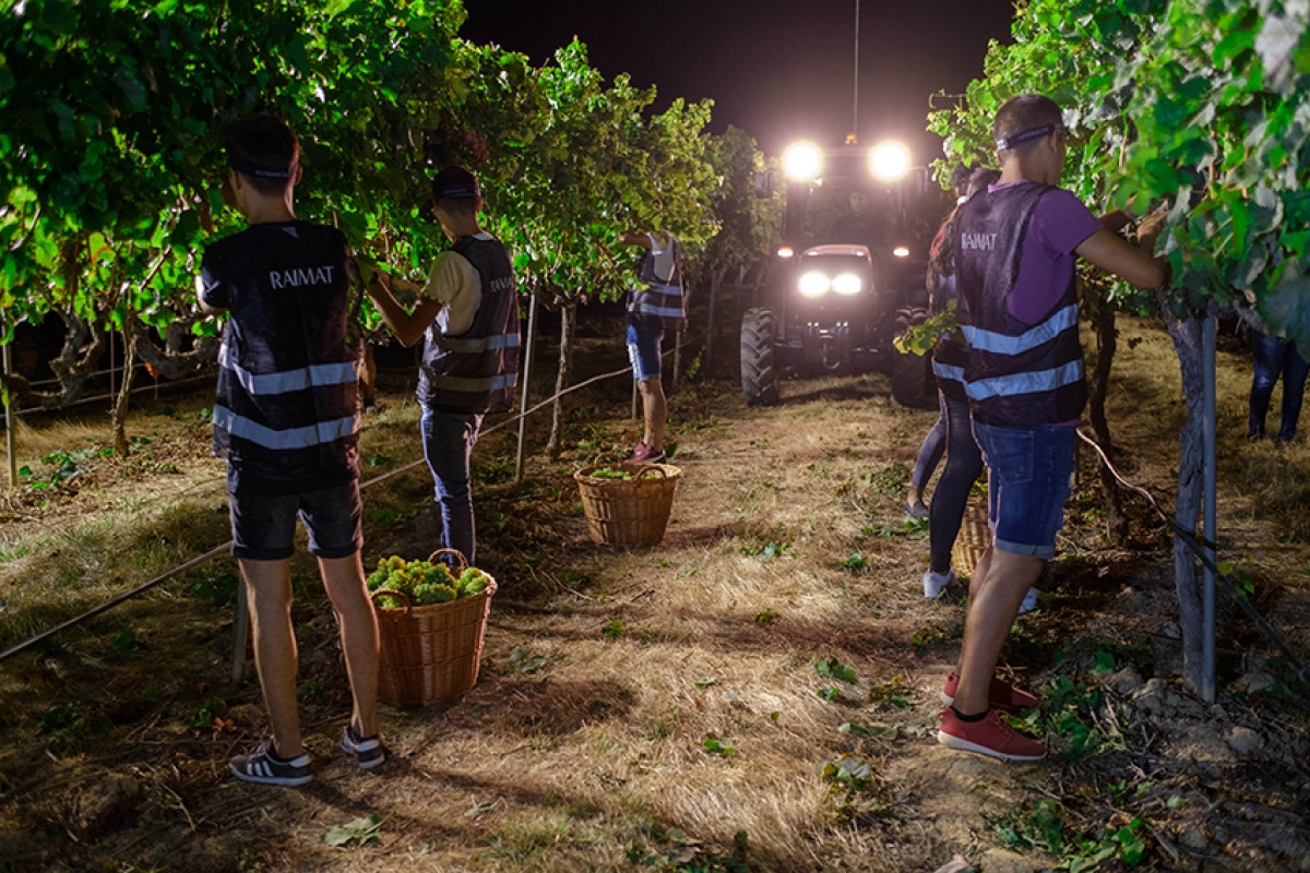 Imatge il·lustrativa