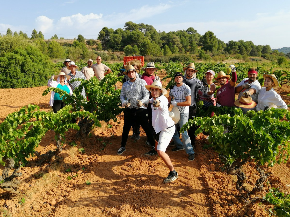 Imatge il·lustrativa