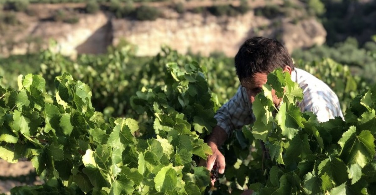 Imatge il·lustrativa