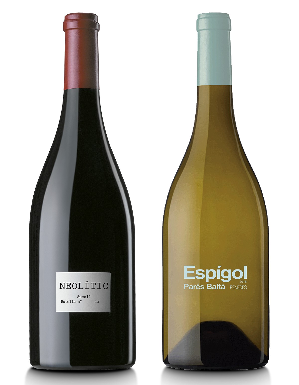 Imatge il·lustrativa