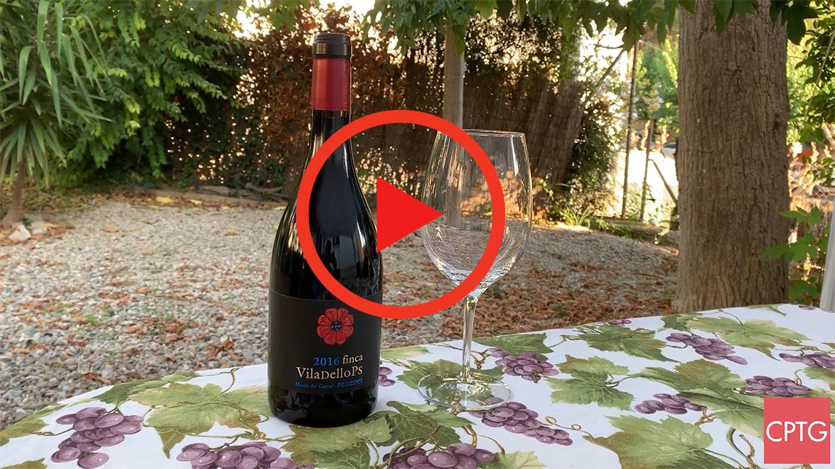 Imatge il·lustrativa