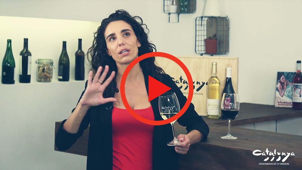 Imatge il·lustrativa