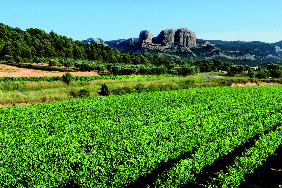 Imatge il·lustrativa