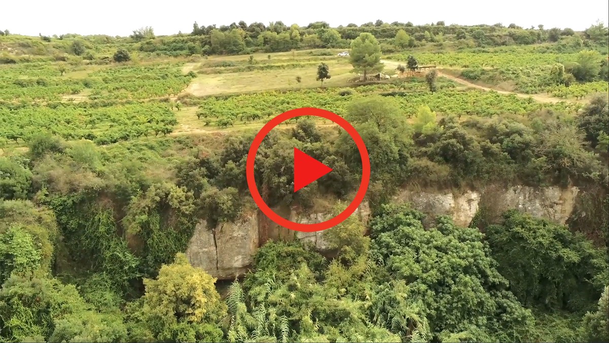 Espectaculars vinyes de l’Heretat Can Llopart, espai catalogat d'Interès Natural