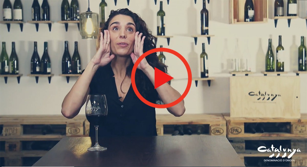 Imatge il·lustrativa