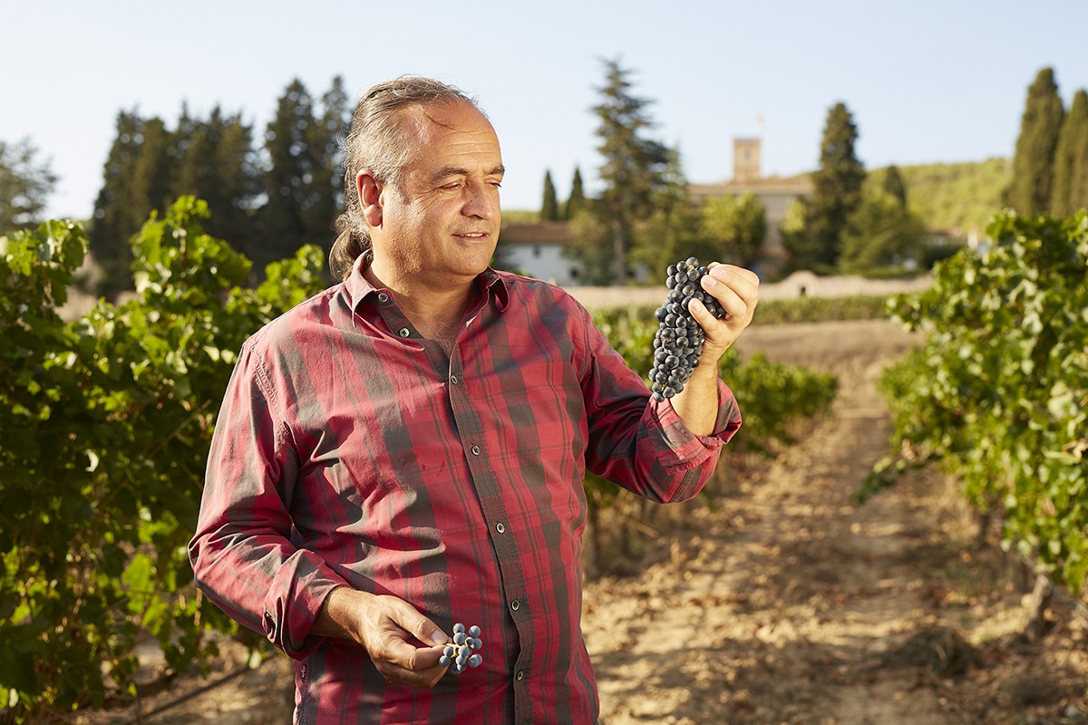 Josep Maria Albet i Noya, nou president dels elaboradors de Clàssic Penedès.