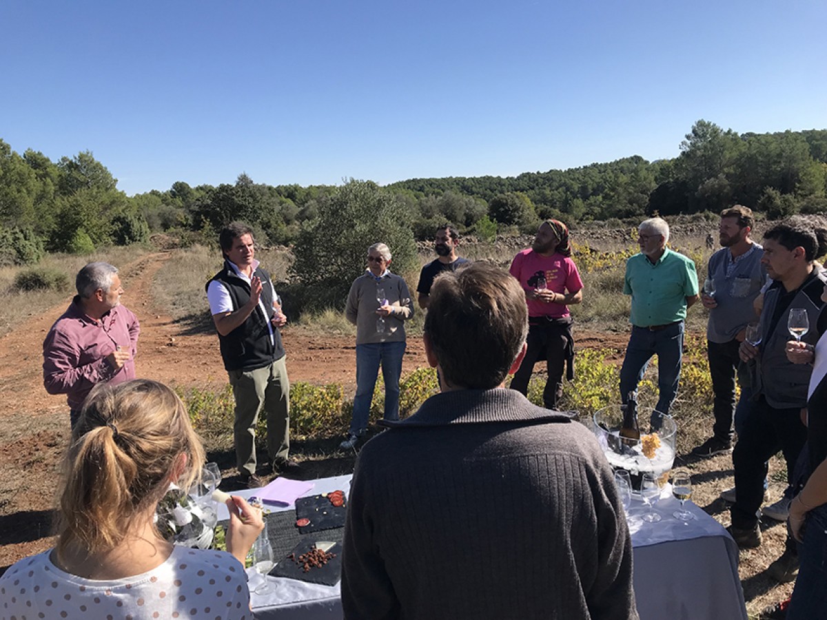 Imatge il·lustrativa