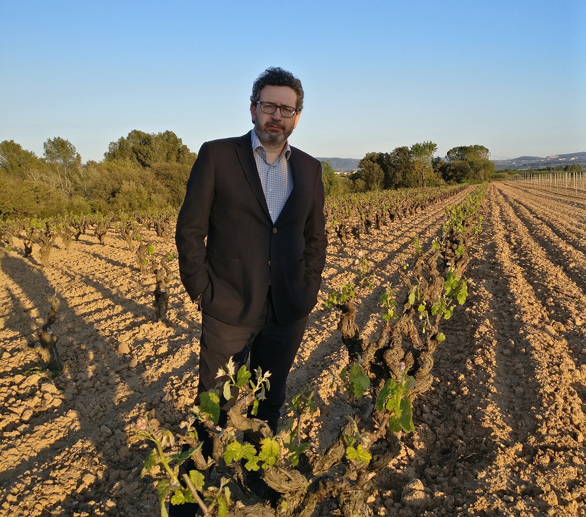 Joan-Miquel Canals, president de l'Associació Catalana d’Enòlegs