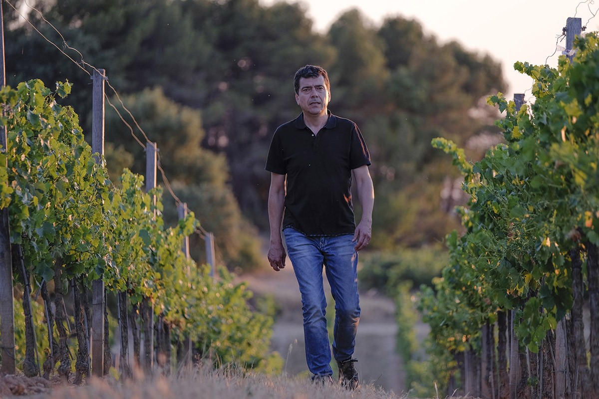 Tomàs Cusiné, president de la DO Costers del Segre