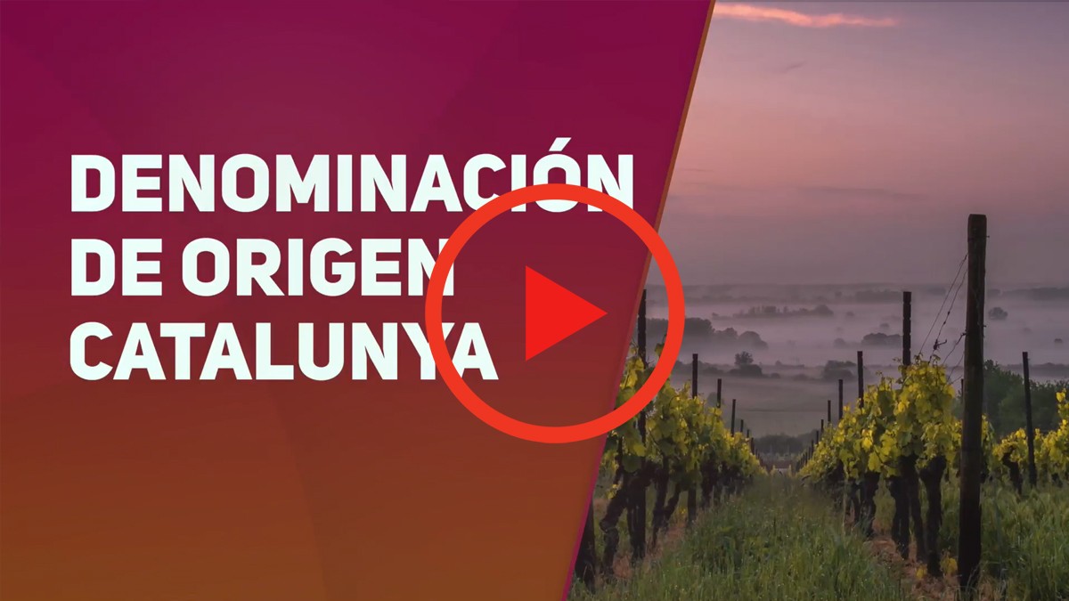 Imatge il·lustrativa