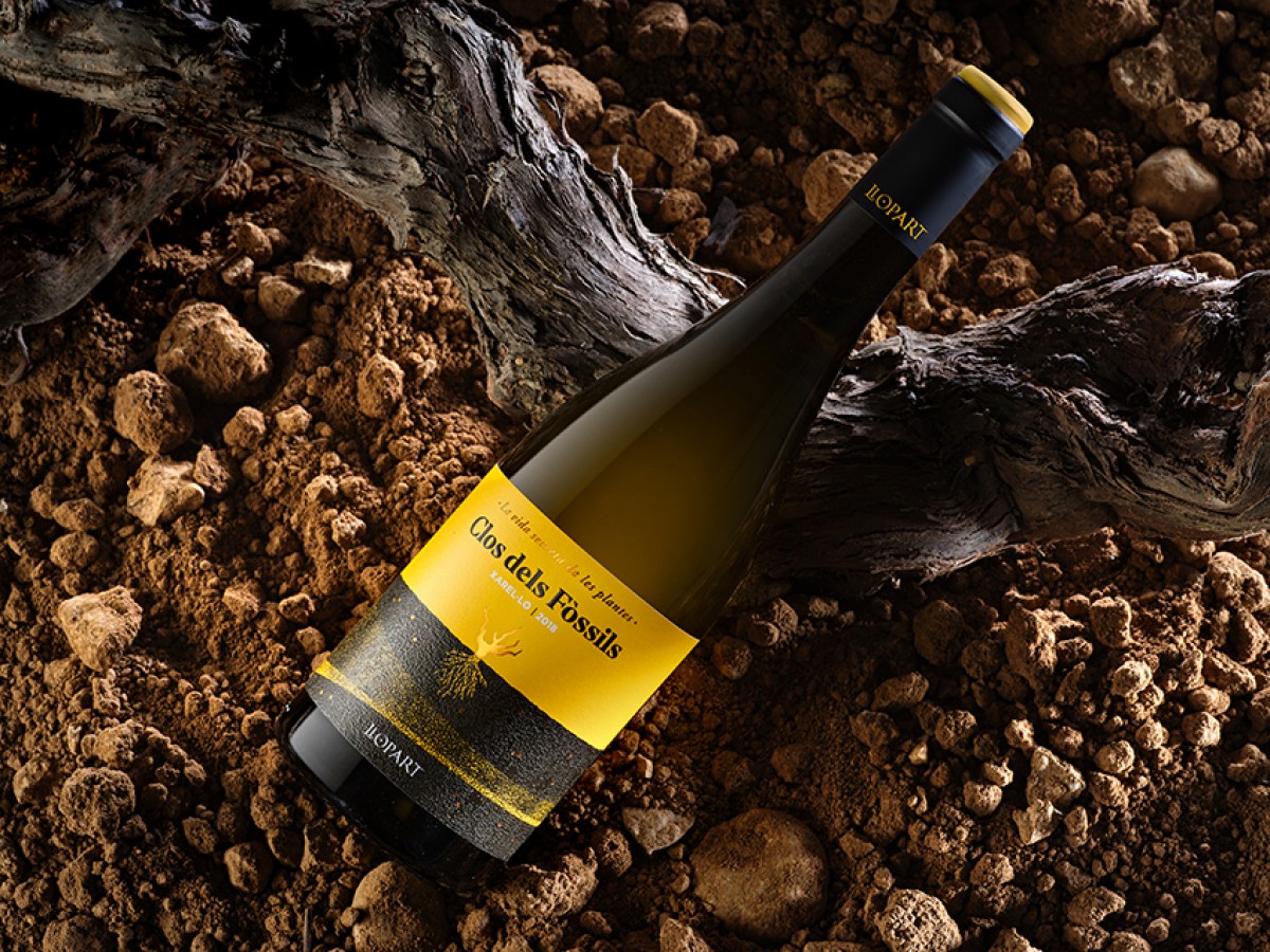 Imatge il·lustrativa