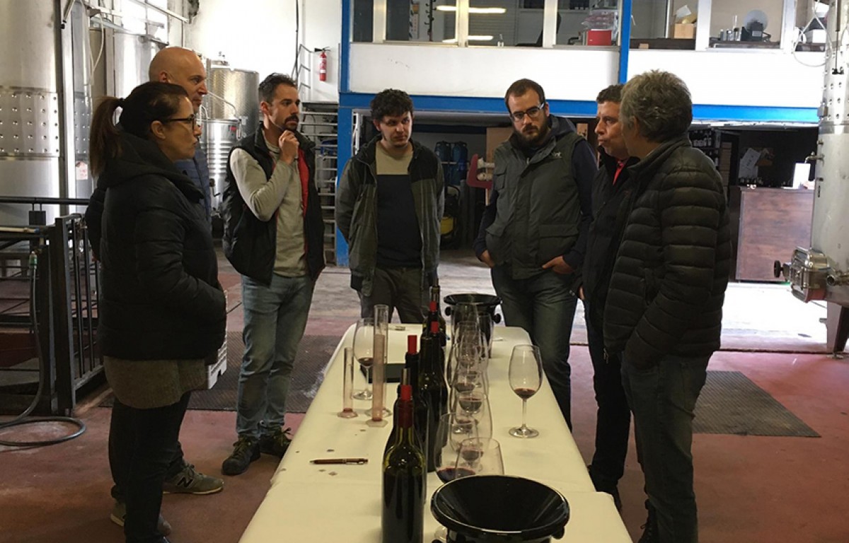 Imatge il·lustrativa