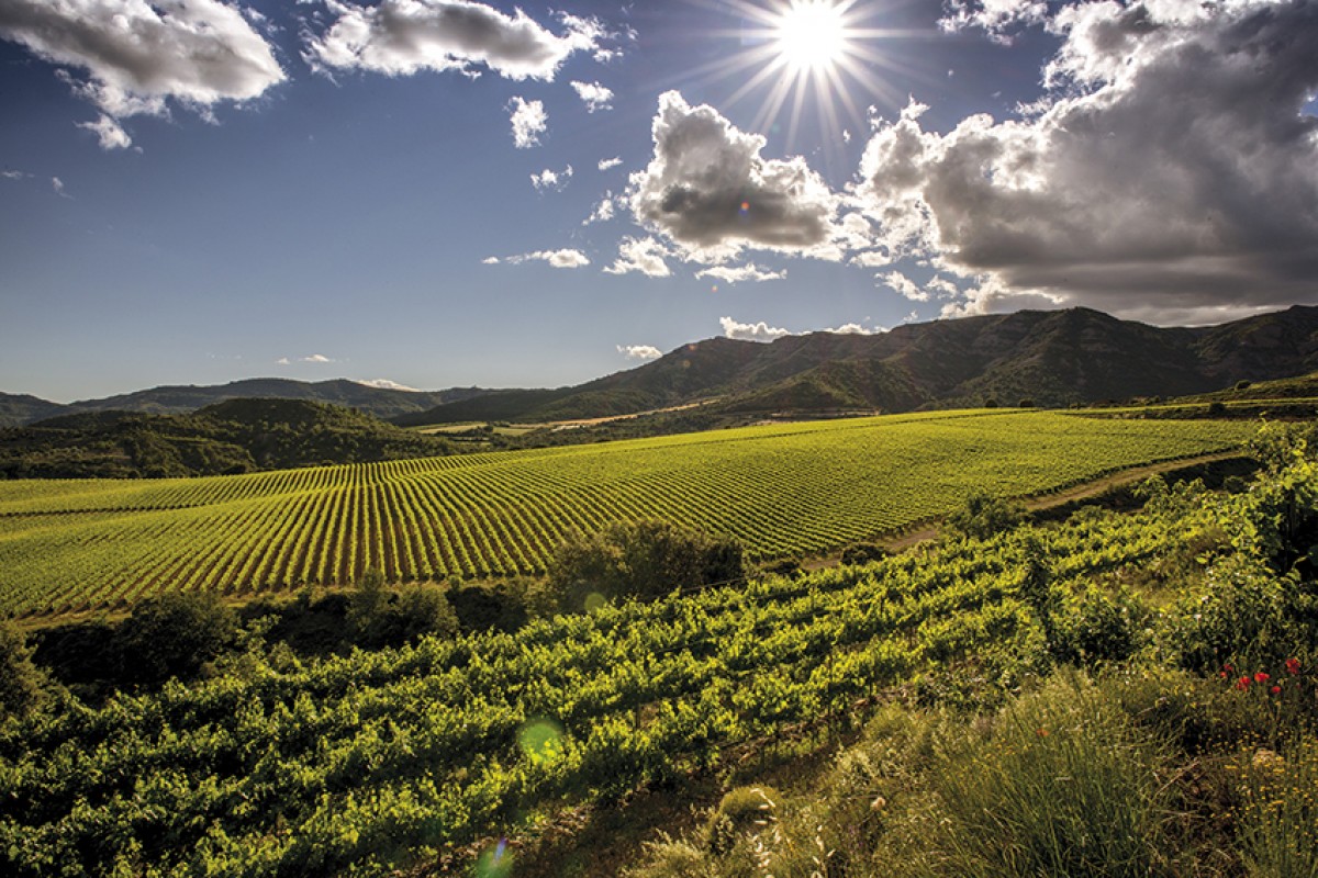 Imatge il·lustrativa