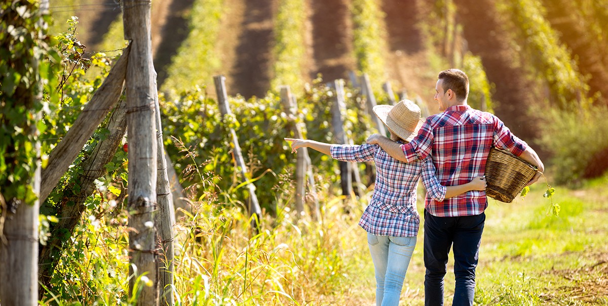 Imatge il·lustrativa