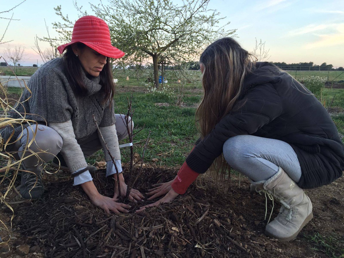 Imatge il·lustrativa