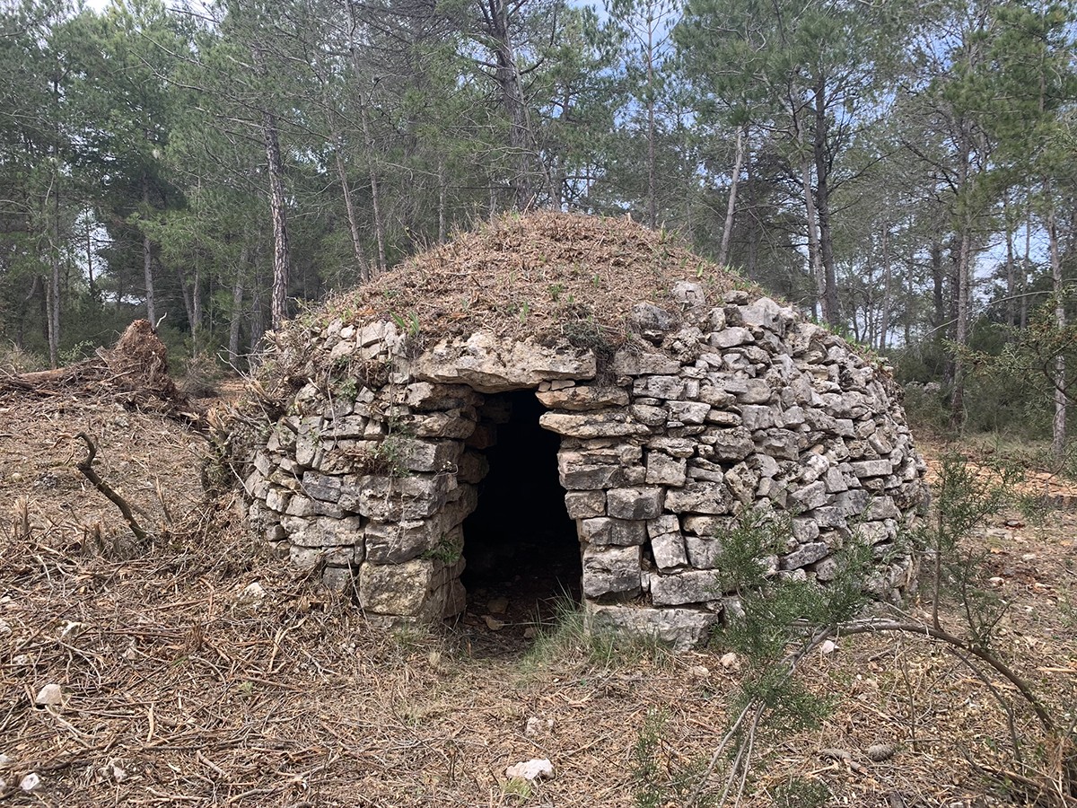 Barraca de vinya a Les Escostes, a 720 metres d'altitud, a la Llacuna.