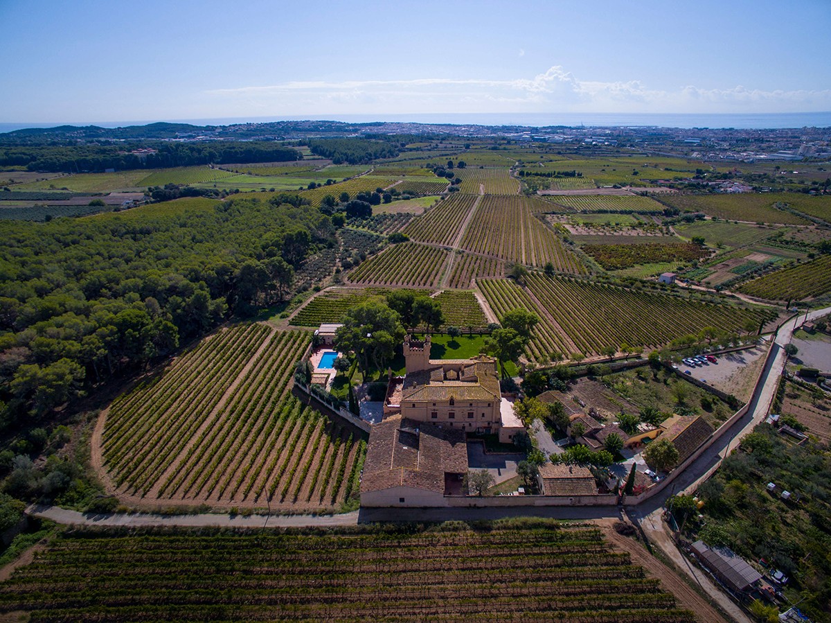 Imatge il·lustrativa