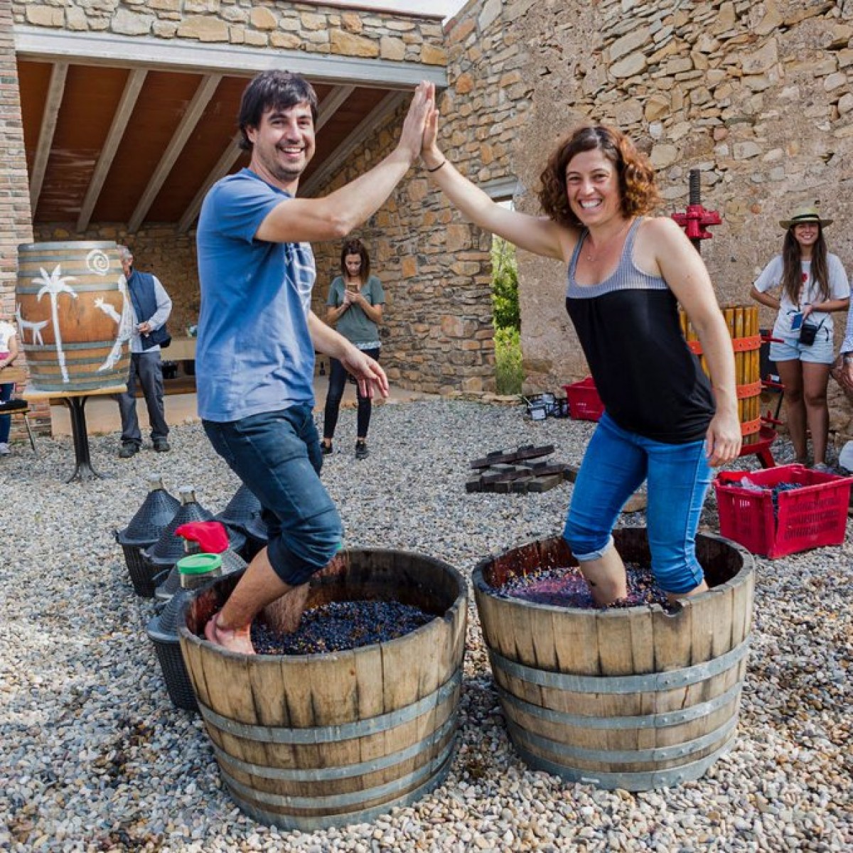 Imatge il·lustrativa