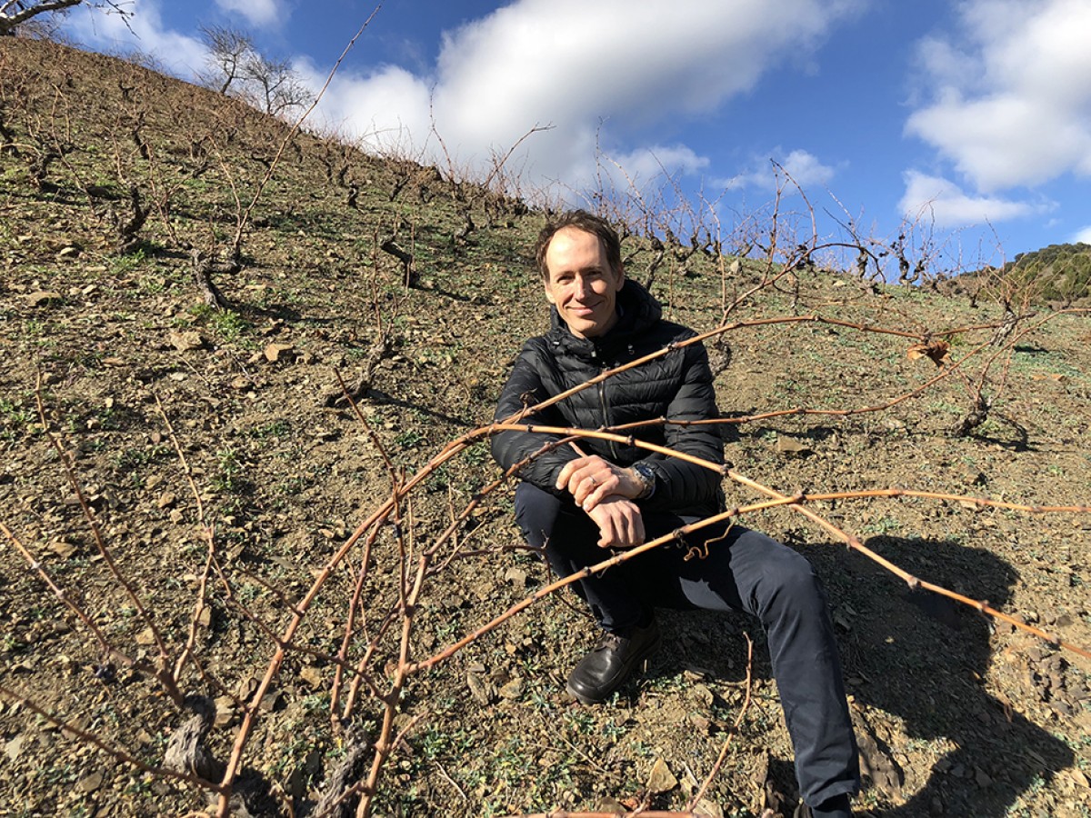 Miquel Torres Maczassek, director general de Família Torres, a Porrera