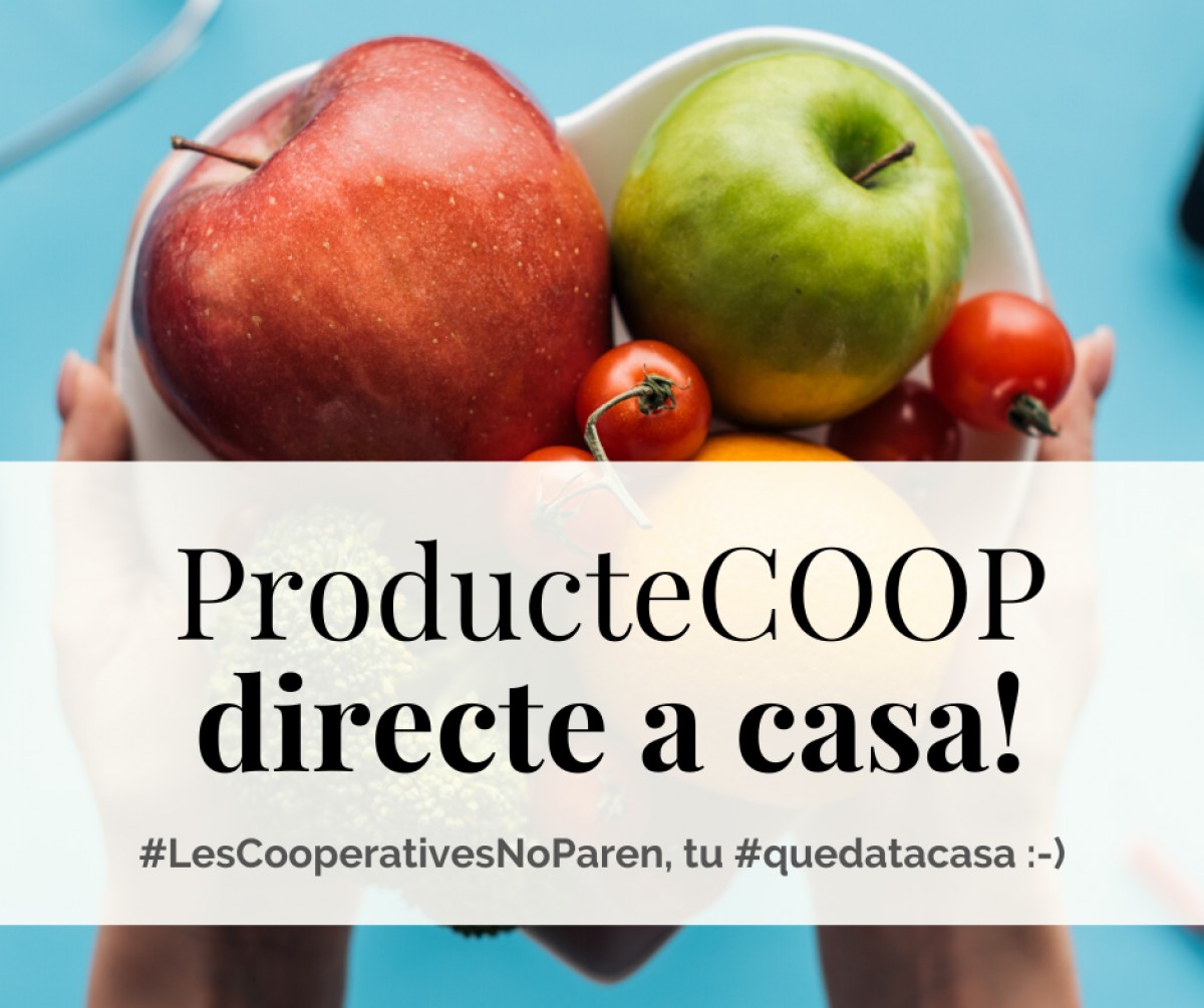 Imatge il·lustrativa