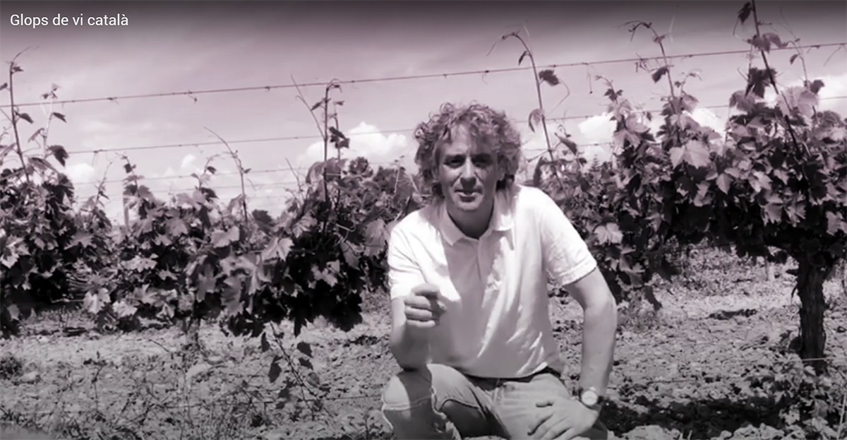 Imatge il·lustrativa