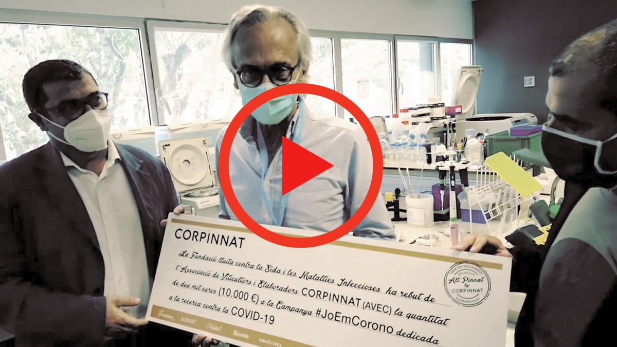 Imatge il·lustrativa