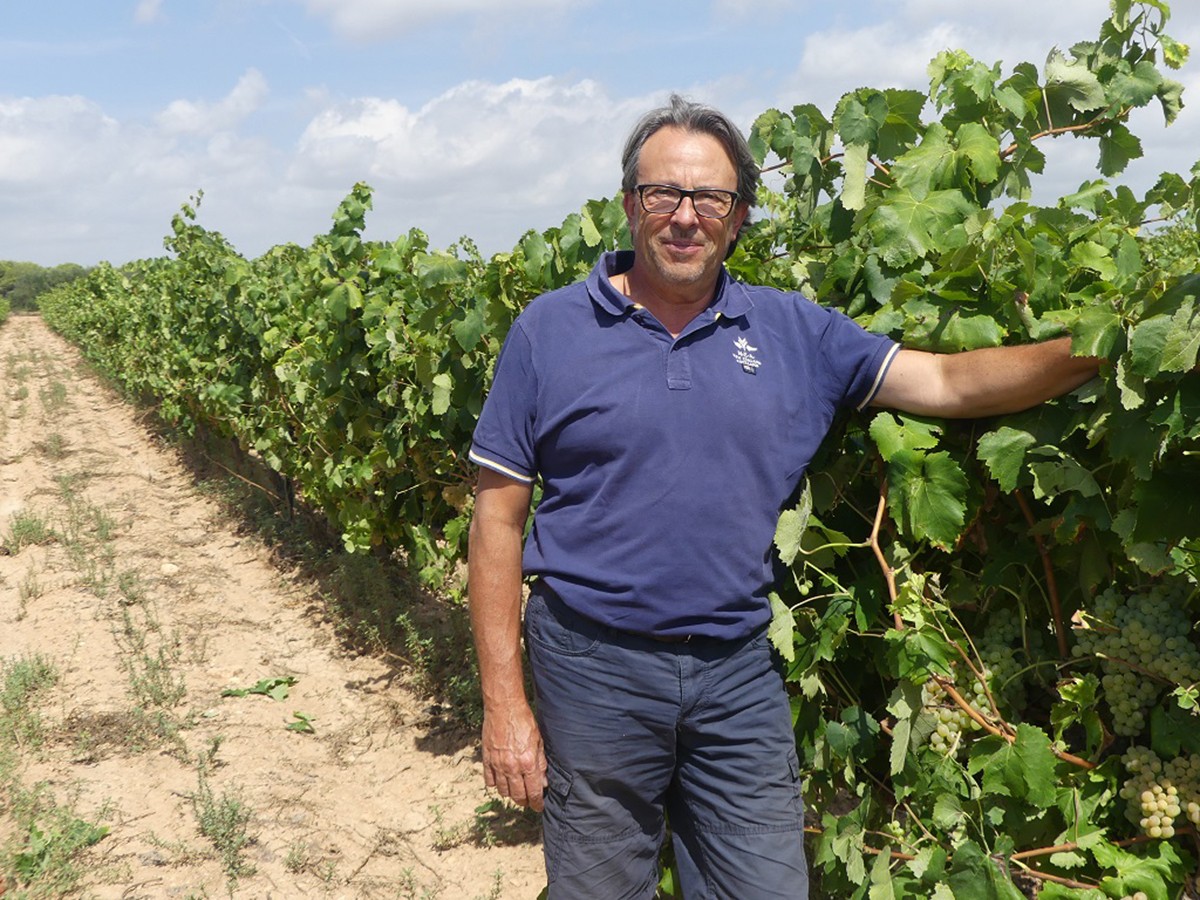 Imatge il·lustrativa