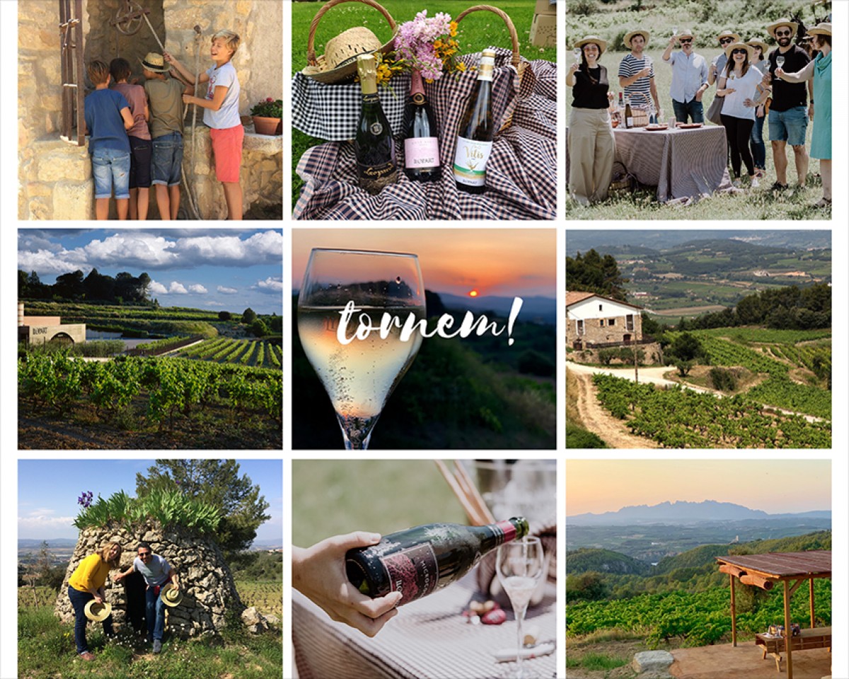 Imatge il·lustrativa