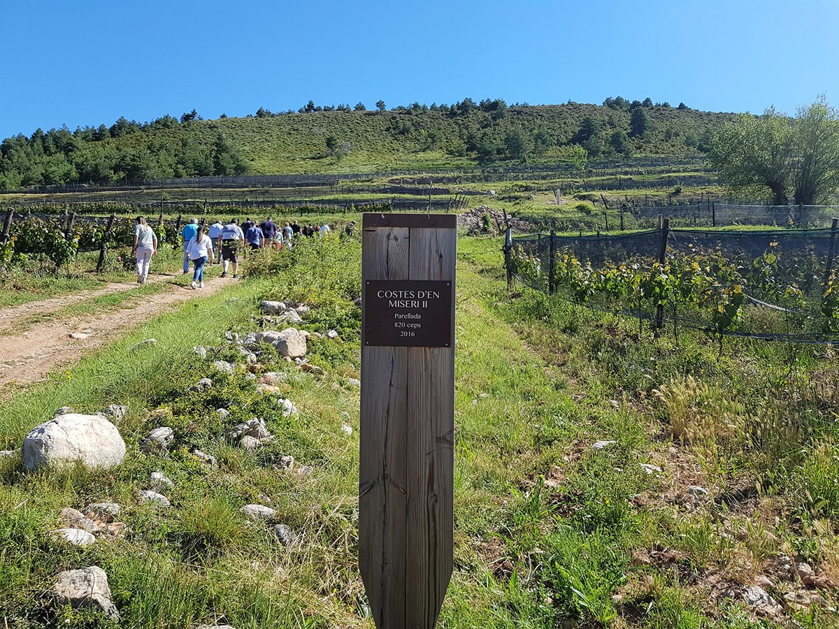 Imatge il·lustrativa