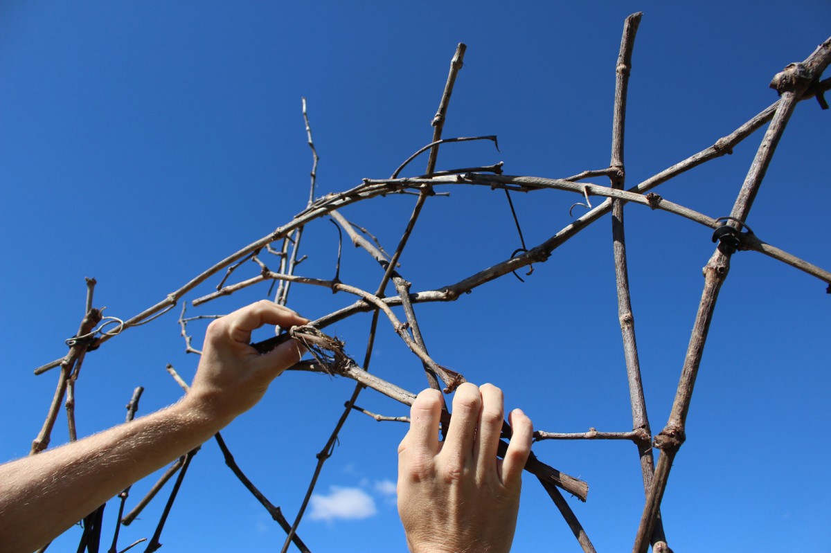 Imatge il·lustrativa