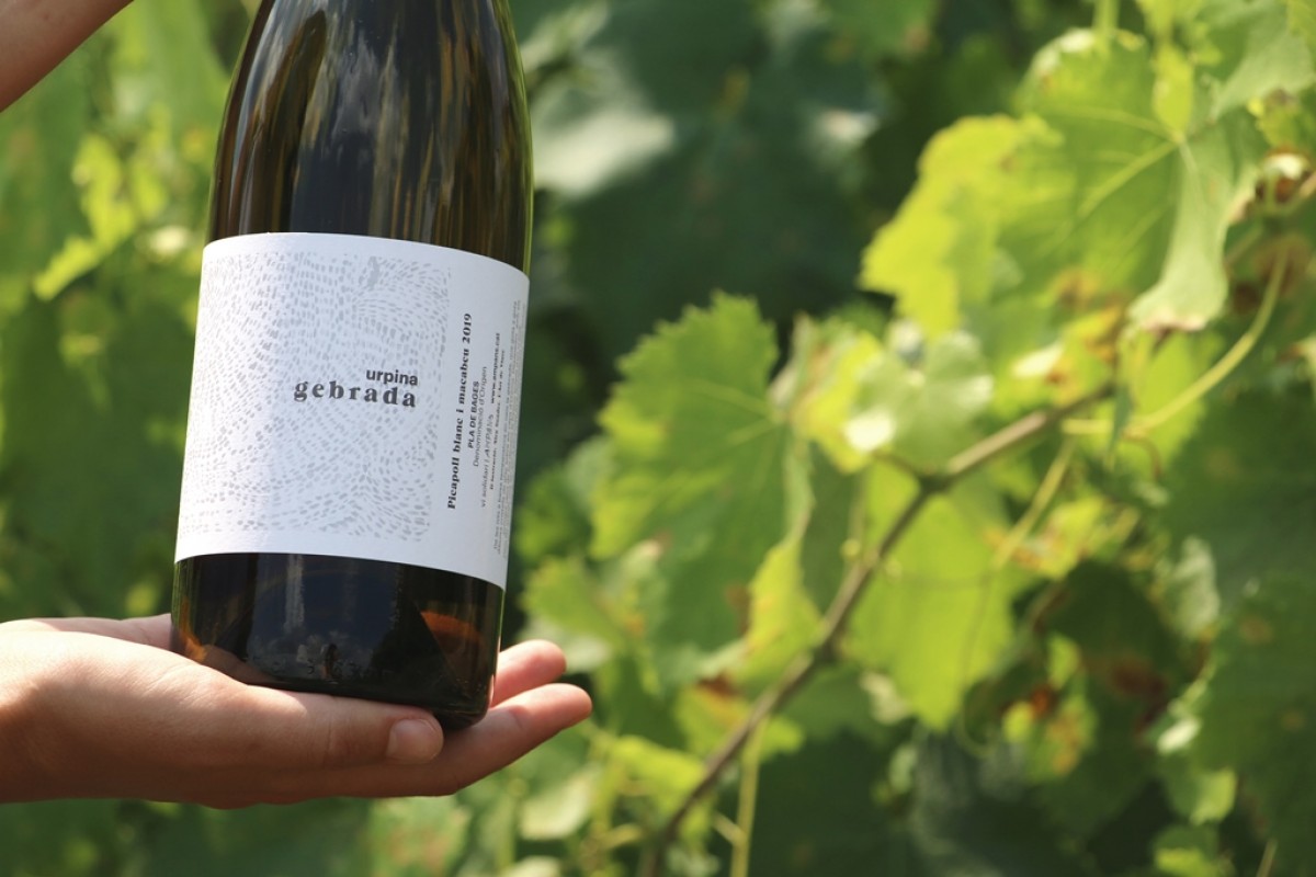 Imatge il·lustrativa