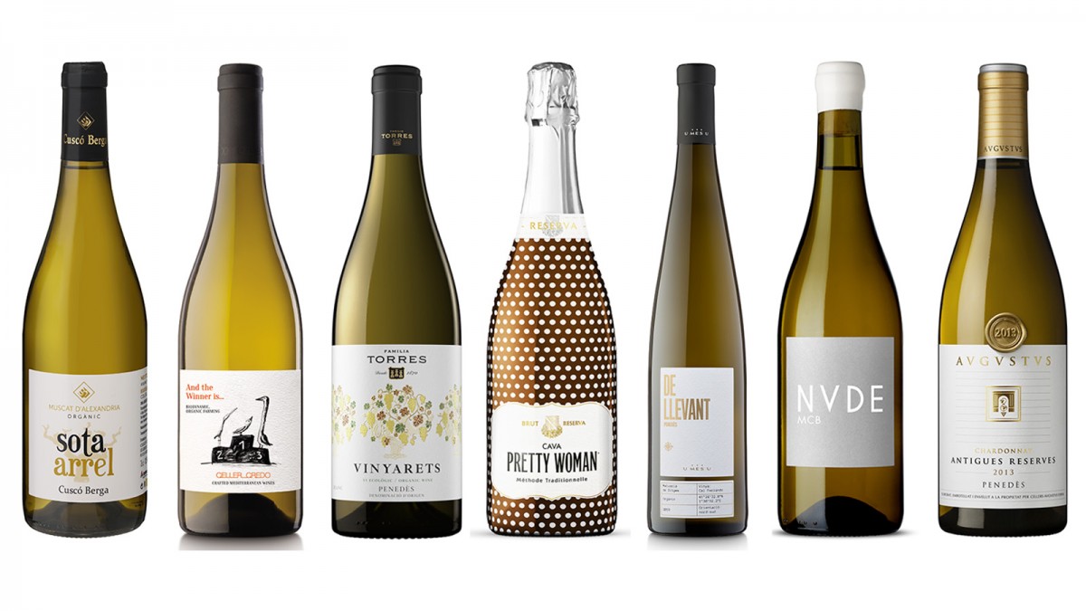 Imatge il·lustrativa