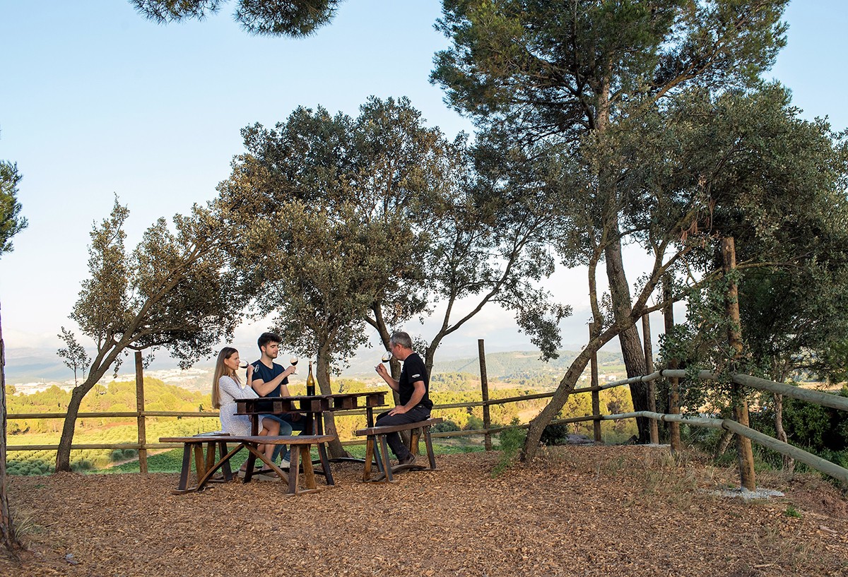 Imatge il·lustrativa