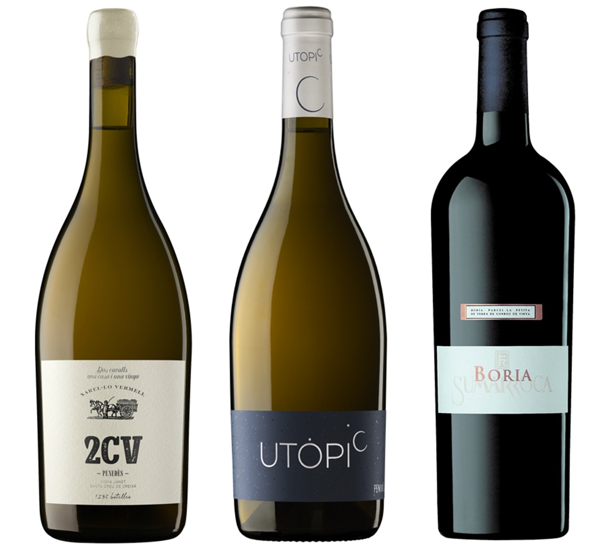 Imatge il·lustrativa