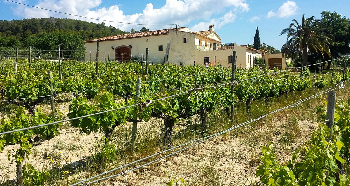 Imatge il·lustrativa