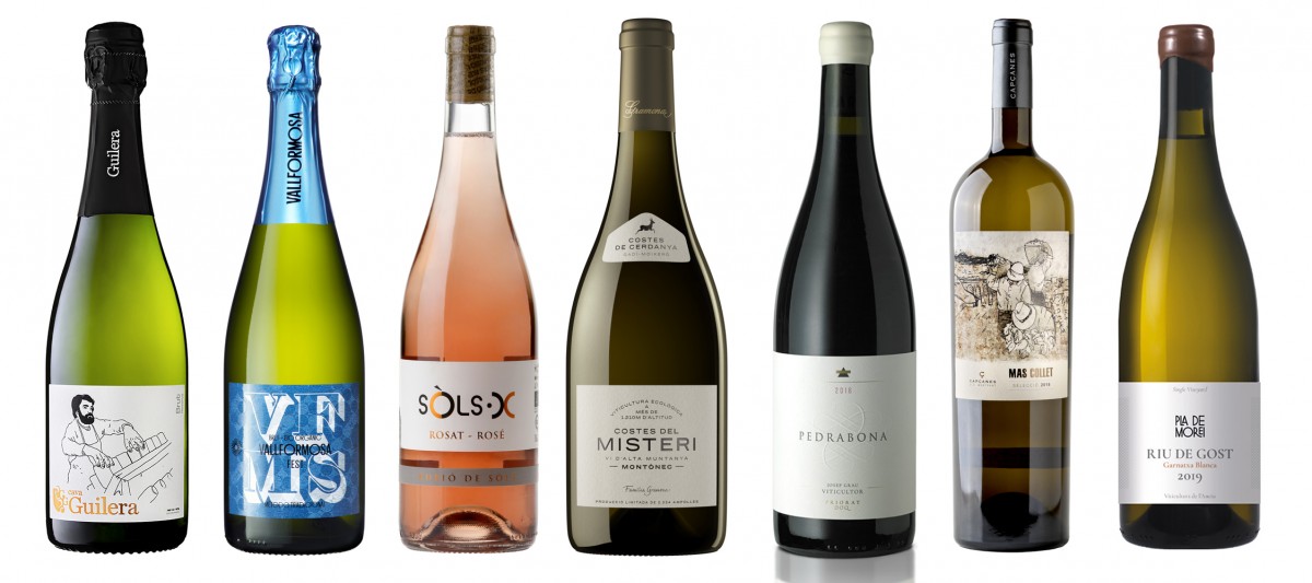 Imatge il·lustrativa