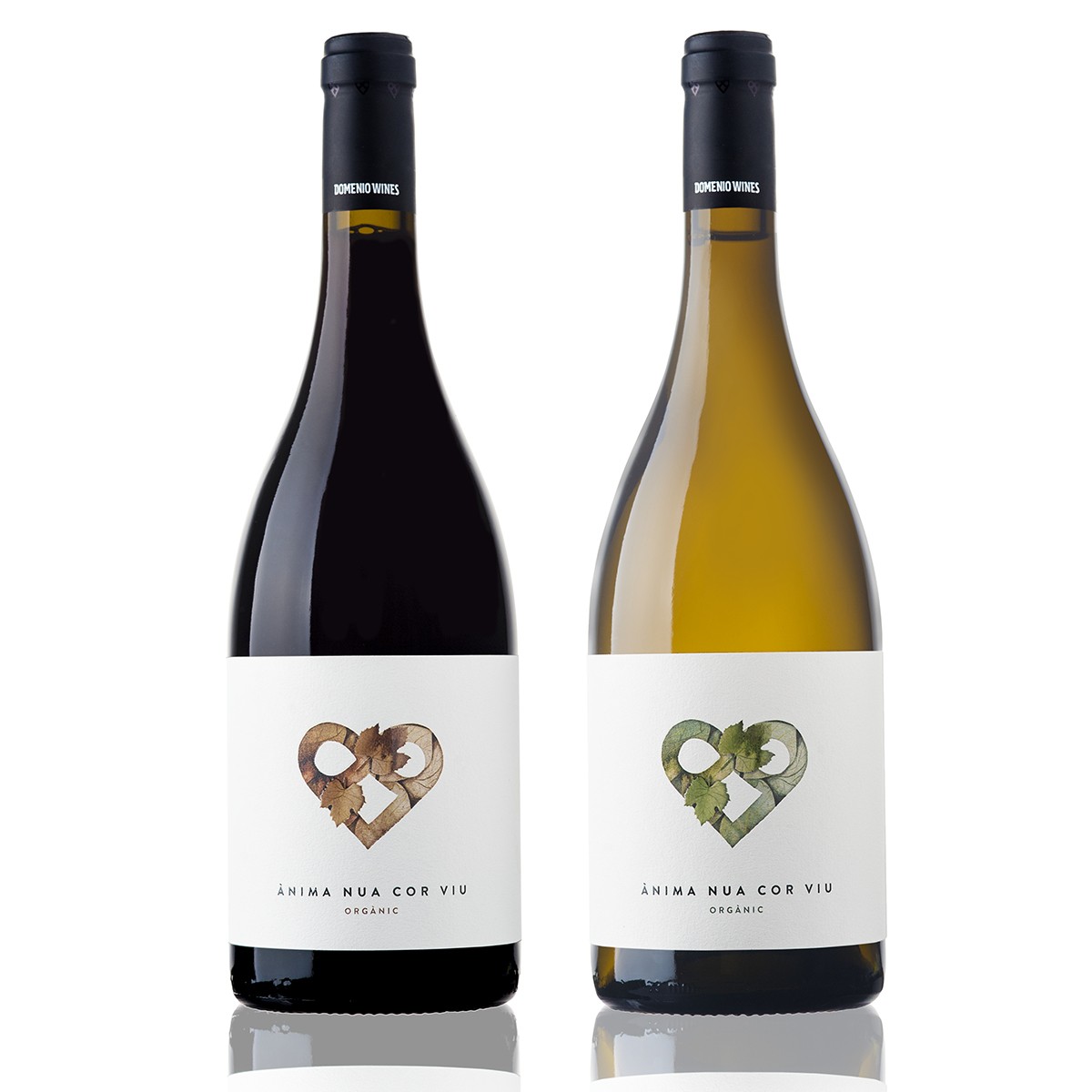 Imatge il·lustrativa