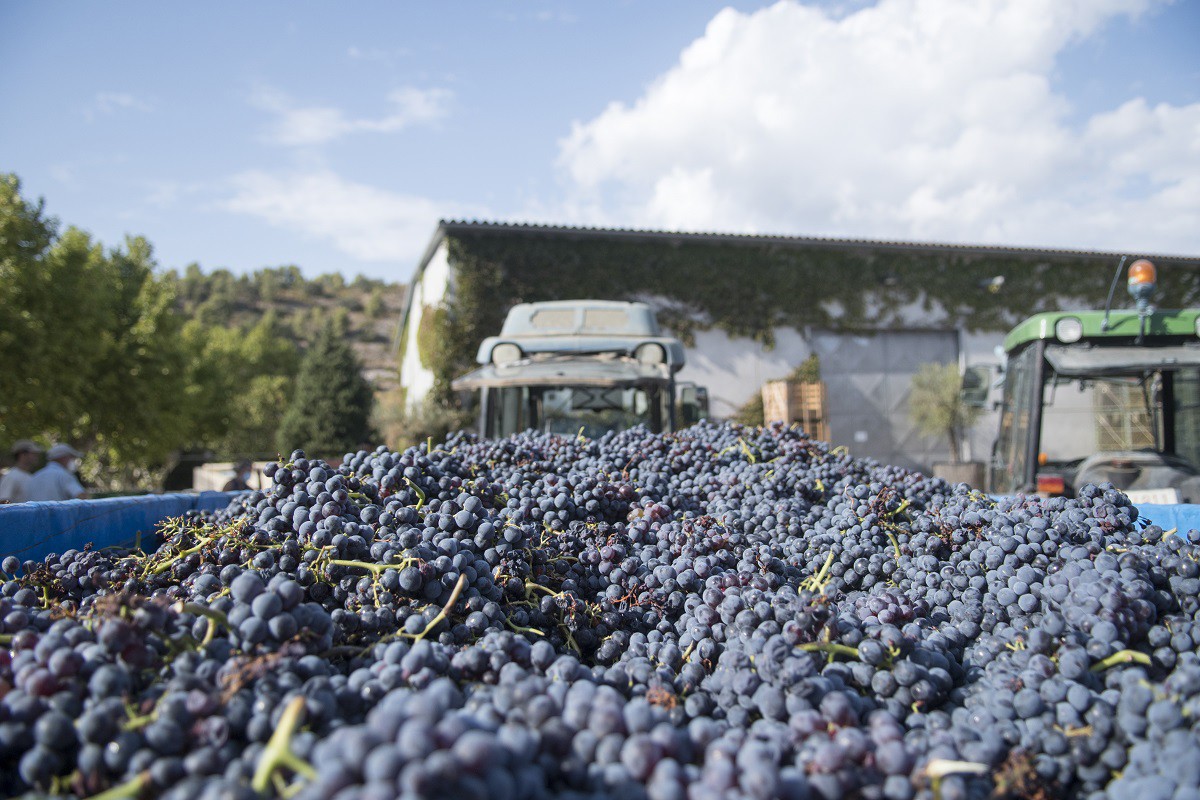 Imatge il·lustrativa