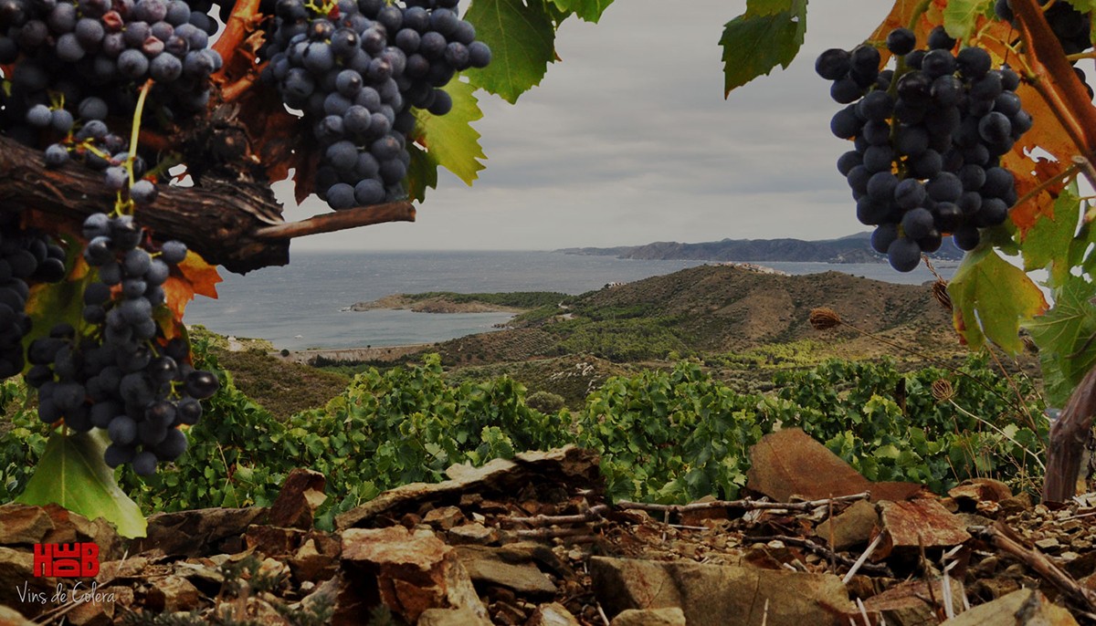 Imatge il·lustrativa