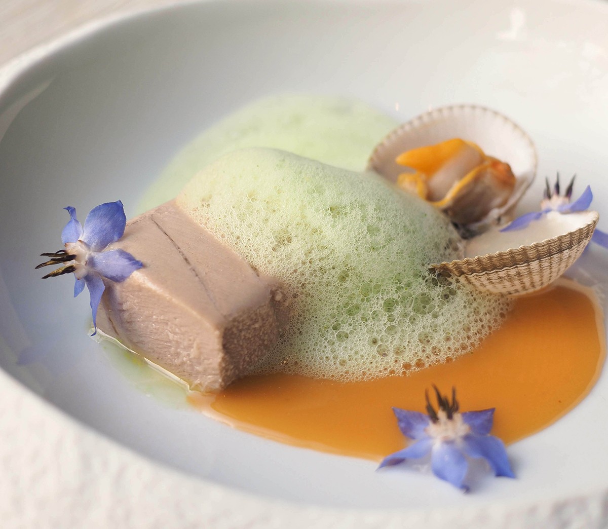 Tonyina confitada amb borratja, cremós de romesco i escopinyes.