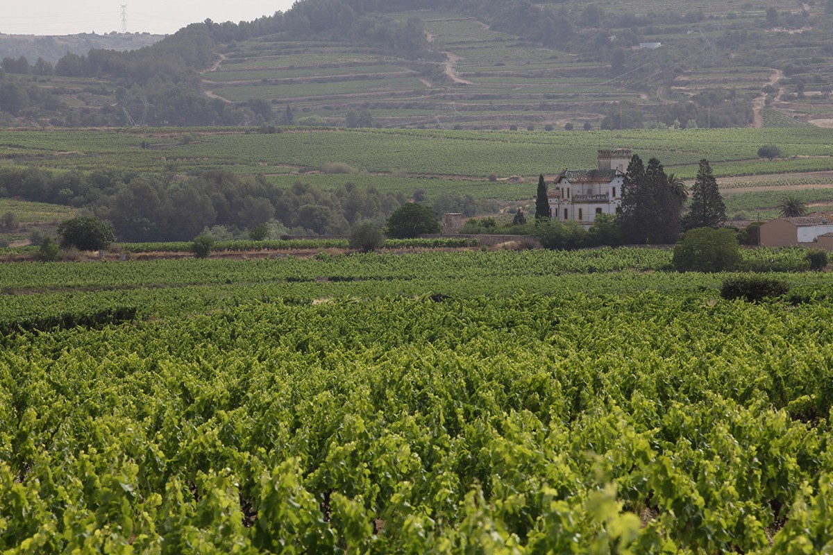 Imatge il·lustrativa