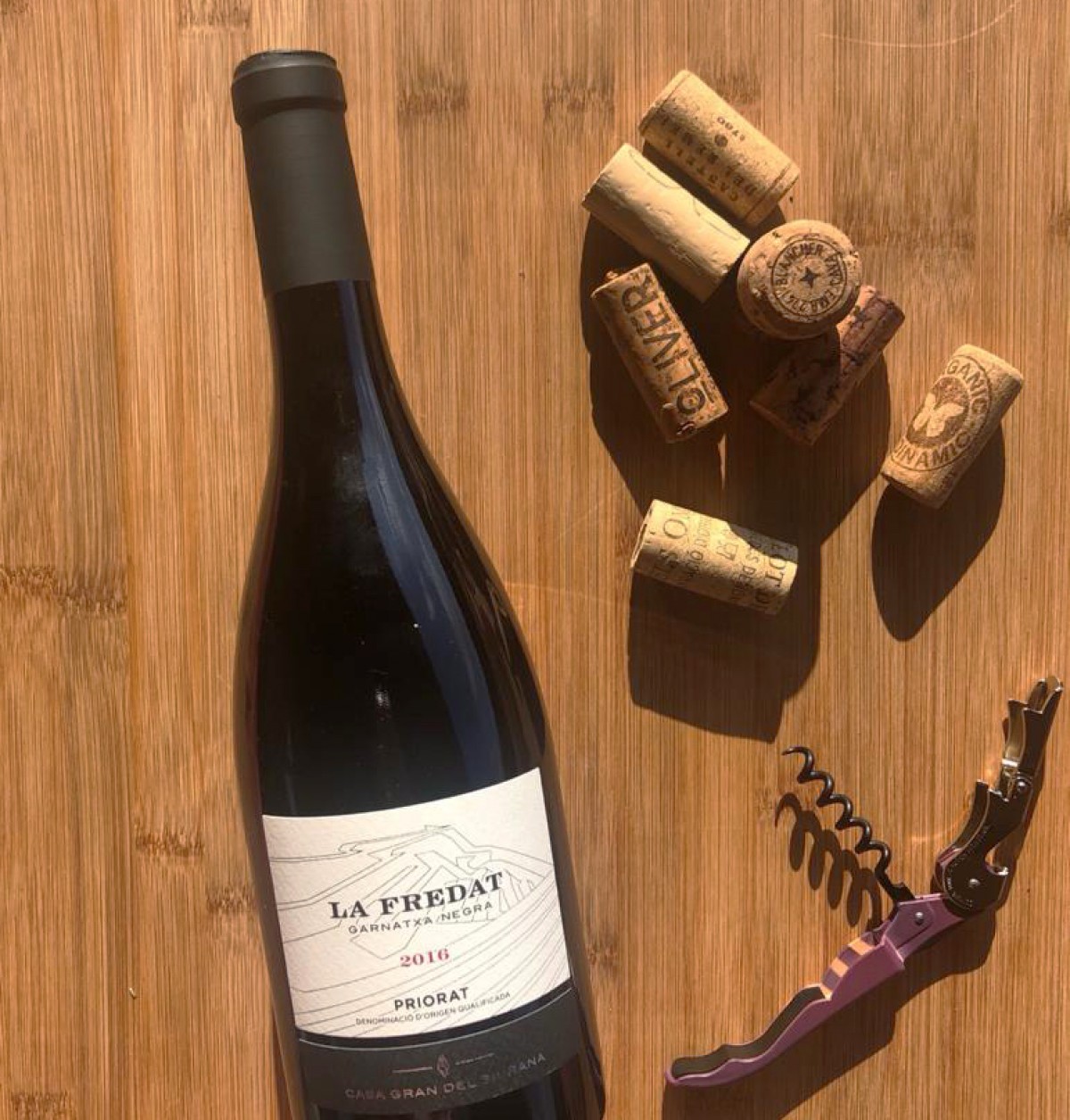 Imatge il·lustrativa