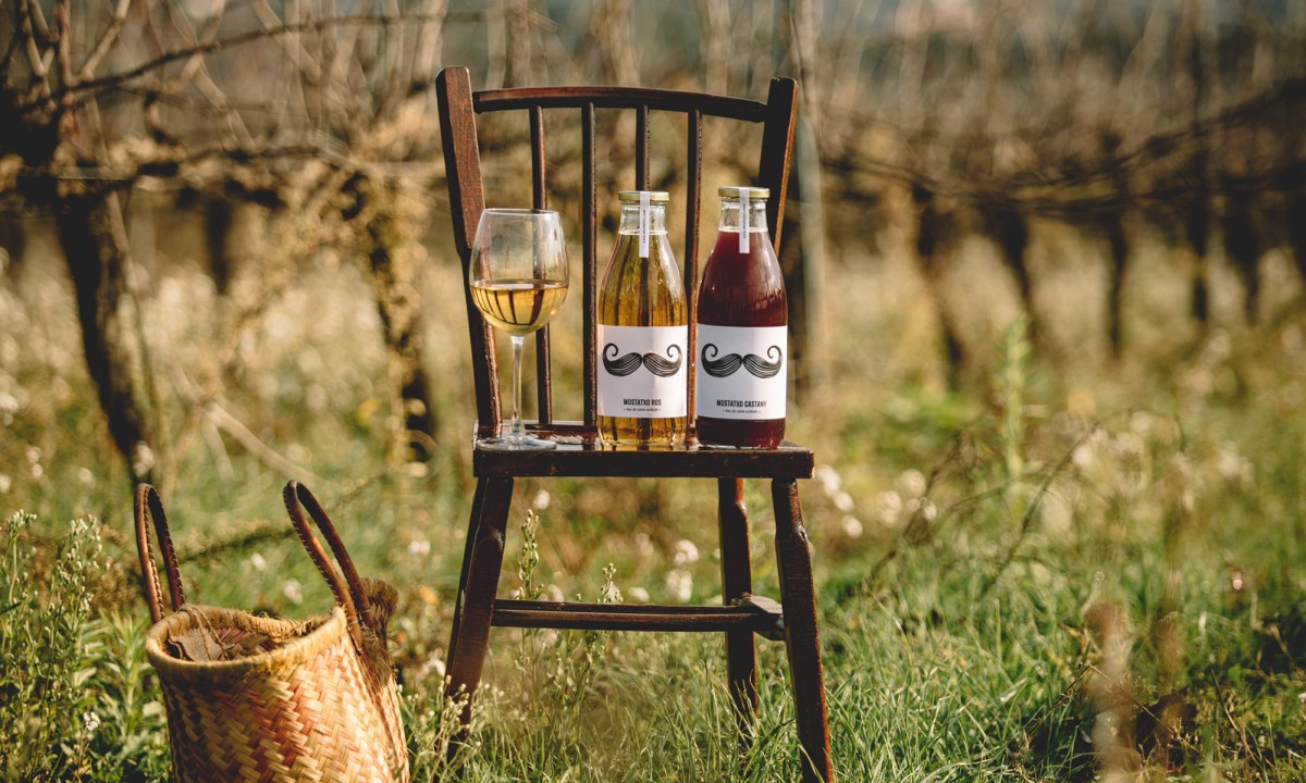 Mostatxo blanc i Mostatxo negre, mosts de vinyes ecològiques