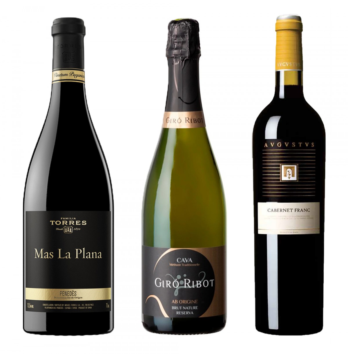 Imatge il·lustrativa