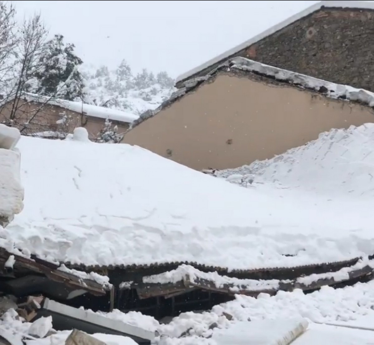 Imatge il·lustrativa